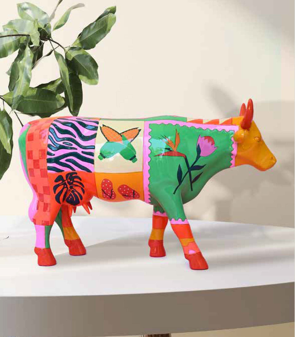 South Africow - Large