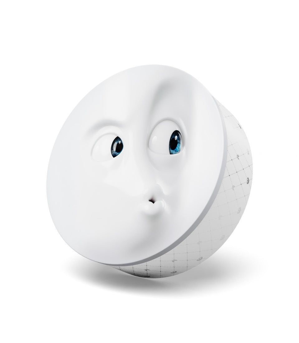 Boîte Métal Siffleur