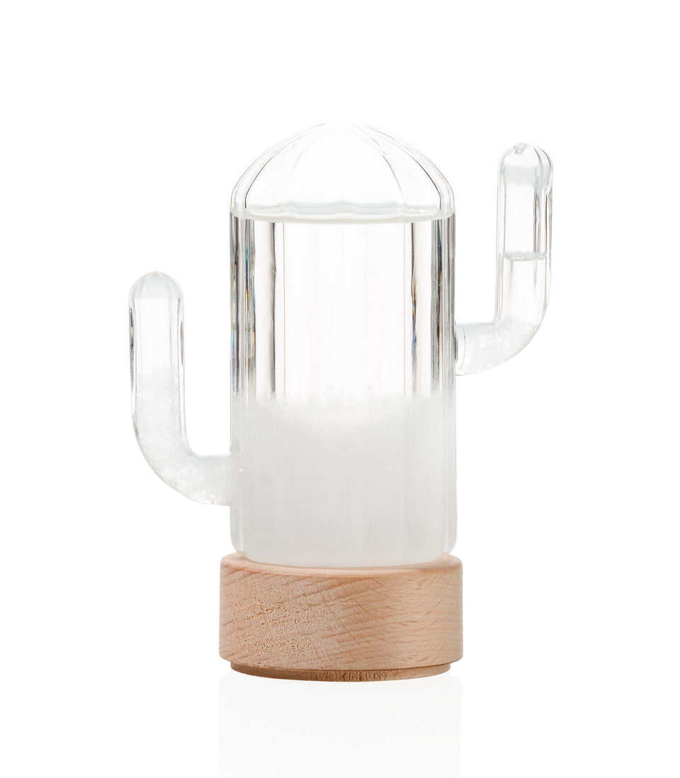 Baromètre Cactus - 4 pièces