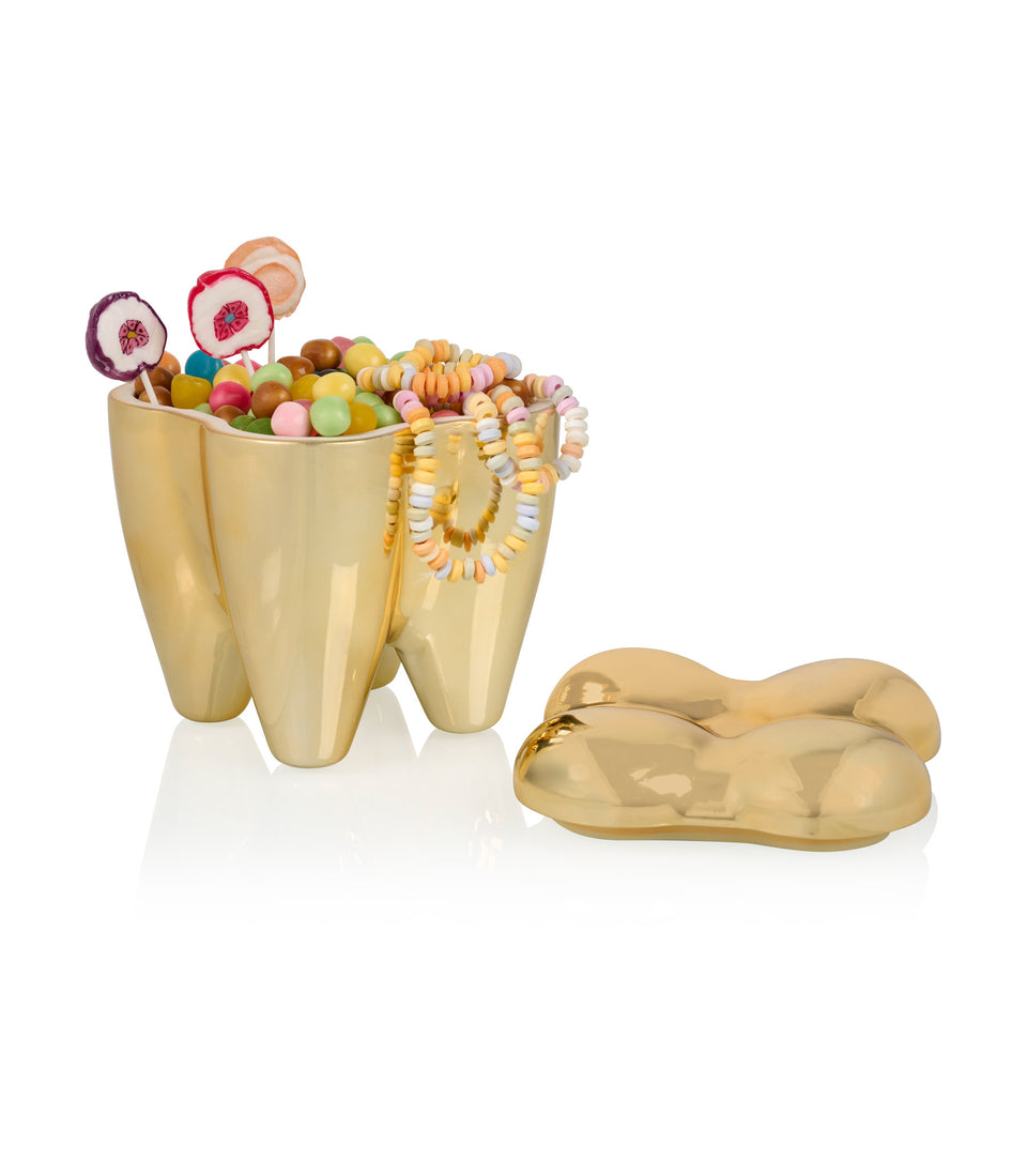 Boîte Dent Bling - 4 pièces