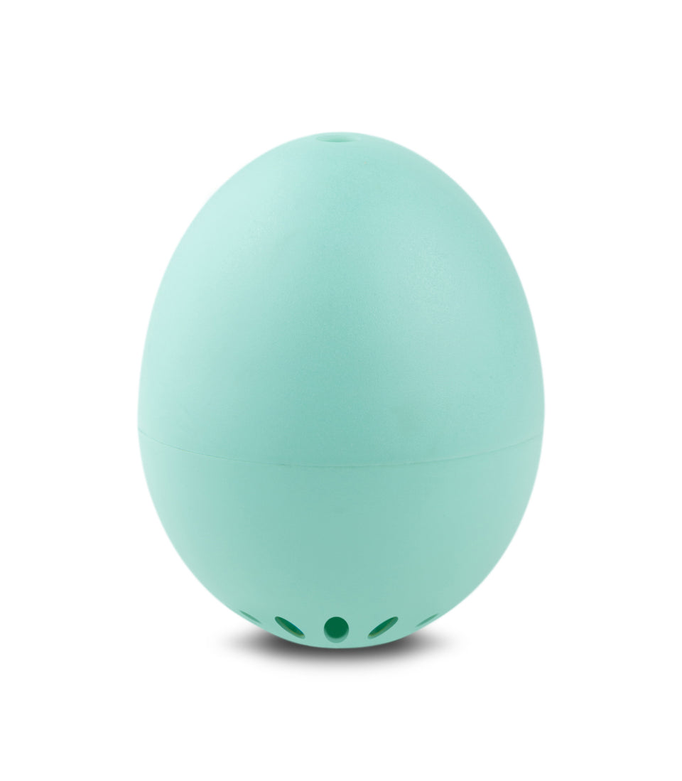 BeepEgg® Classic Turquoise