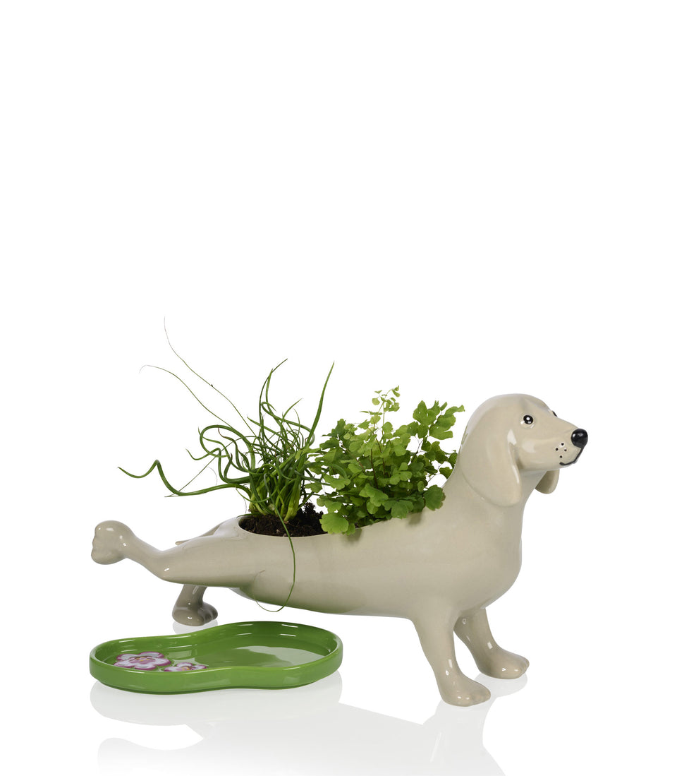 Cache-pot Chien qui fait pipi - 3 pièces