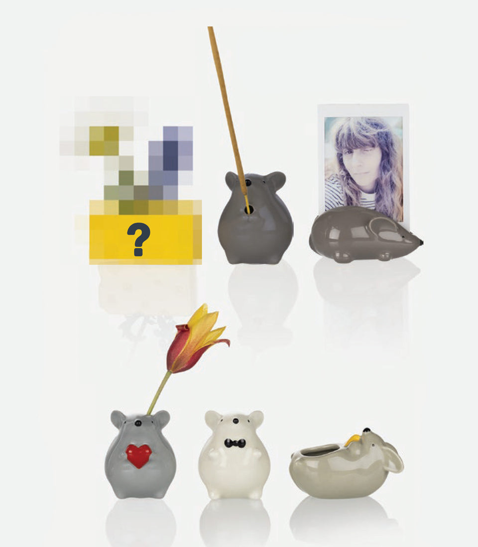 Soliflore petite souris (Boite surprie) - 12 pièces