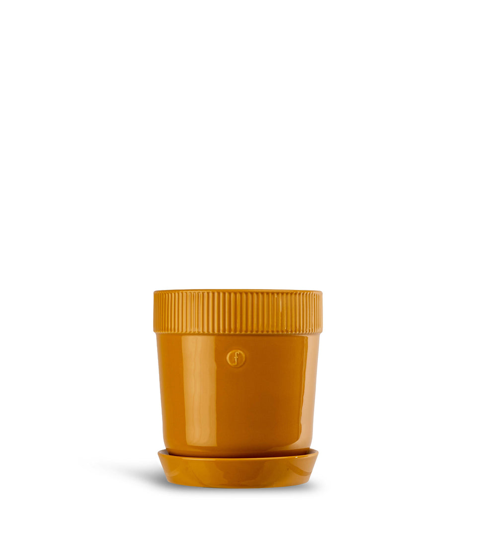 Pot Elise petit Jaune - 6 pièces