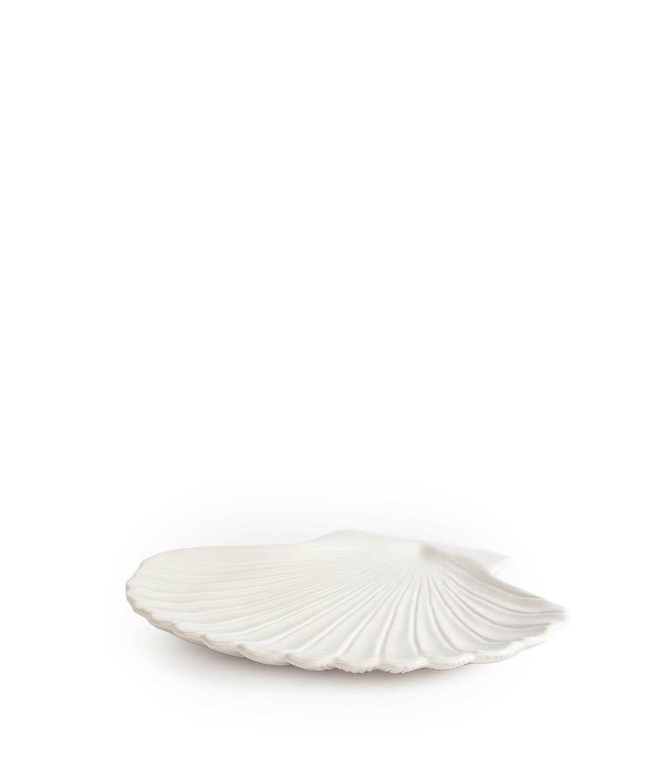 Assiette Shell XL Blanc-  pièces