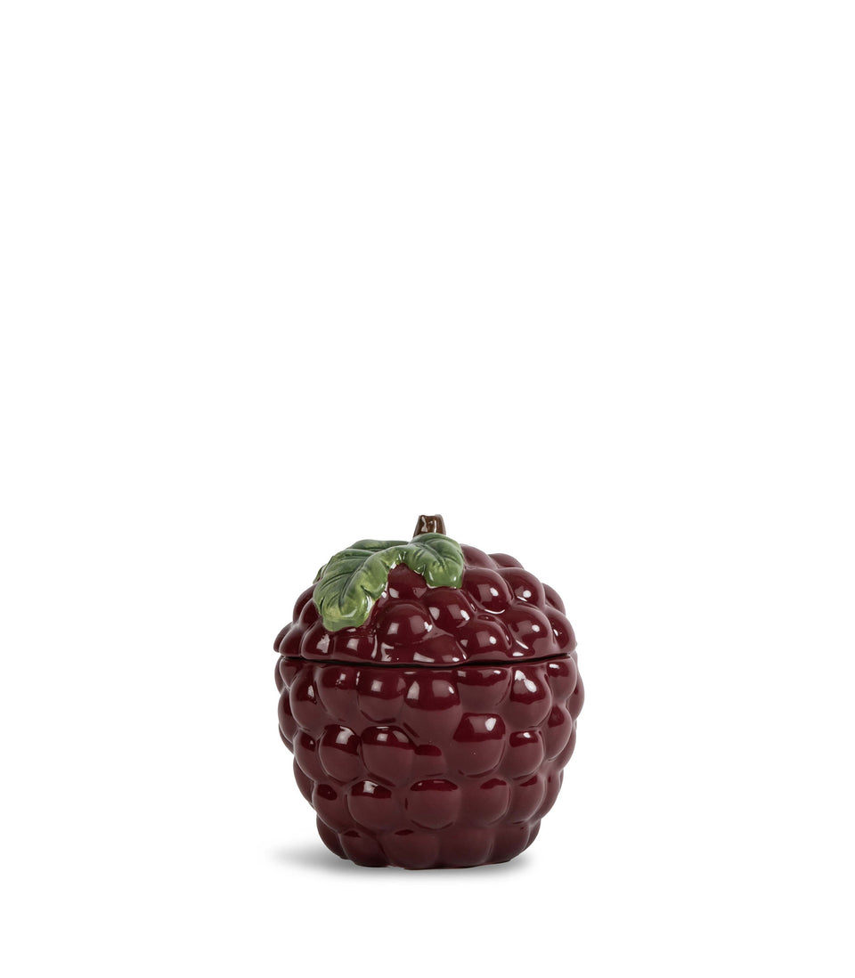 Bol Grape avec couvercle Violet - 6 pièces