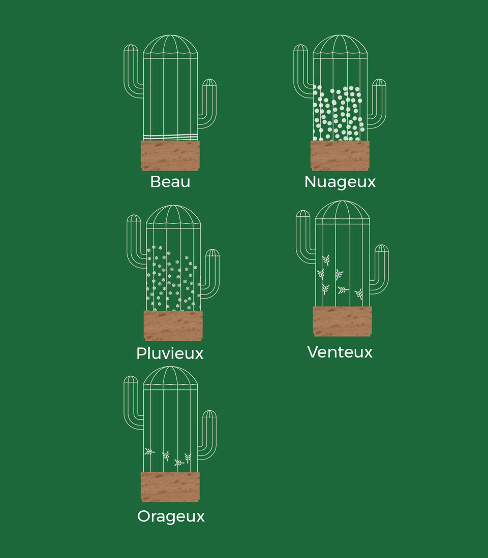 Baromètre Cactus - 4 pièces