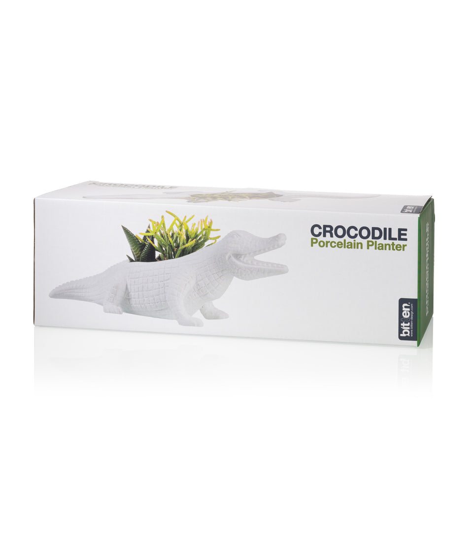 Cache-Pot Crocodile - 3 pièces